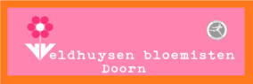 Naar de startpagina